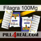 Filagra 100Mg 12